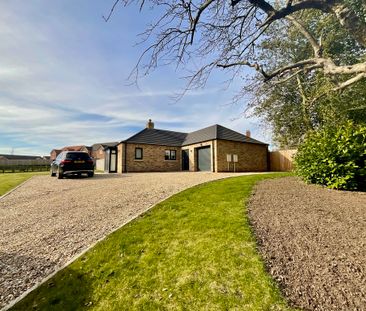 3 bedroom Detached Bungalow to let - Photo 5