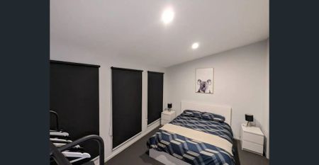 Tiny home for rent in Apollo Bay - Photo 4