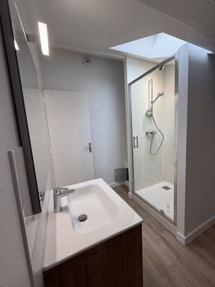 APPARTEMENT T2 A LOUER - LYON 7EME ARRONDISSEMENT - 38.23 m2 - 750 € charges comprises par mois - Photo 1