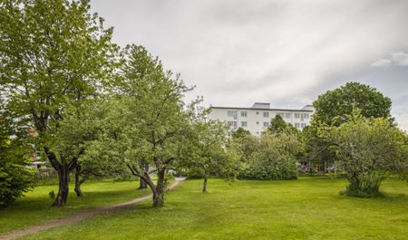 Ringgatan 6 K, 75217, Uppsala - Photo 5