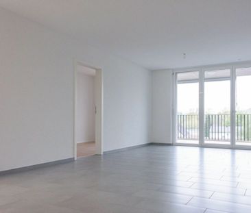 Brugg / 2.5 room apartment 3.3 - Photo 1