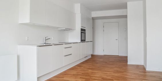 Hollænderen 2, 3. MF - Photo 3