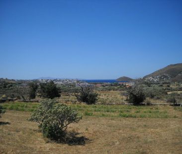 Μονοκατοικία για ενοικίαση Άγιος Πέτρος (Άνδρος) - Φωτογραφία 2