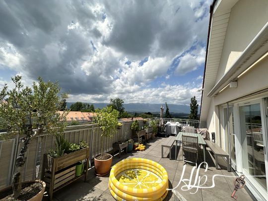 Chemin de la Distillerie 14A, Bernex, Suisse, 1233 - Foto 1