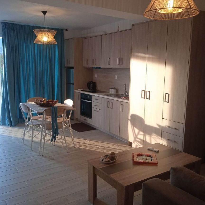 Studio/Γκαρσονιέρα για ενοικίαση Αετός (Κάρυστος) - Photo 1