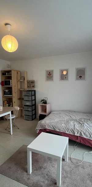 Location Appartement 1 pièce 25m² LA RICHE 37520 - Photo 1