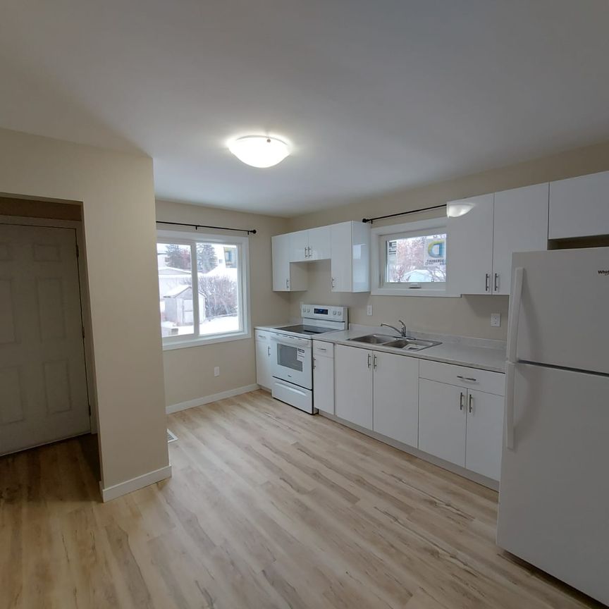 2 Bed + Den South Hill Home! - Photo 1