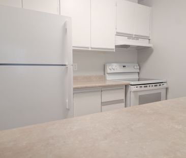 For Lease - 1320 Richmond Road Unit# 217, Britannia - Lincoln Heigh... - Photo 4
