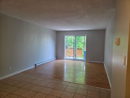 For Lease - 8800 Willoughby Drive Unit# 308, Niagara Falls, Ontario - Photo 2