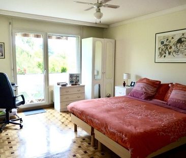 Superb Apartment for rent, Rue Giovanni-Gambini (Geneva, Switzerland) - Foto 2