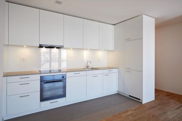 Living in a modern environment - Photo 1