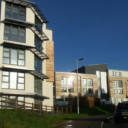 Plymbridge Lane, Derriford, Plymouth - Photo 4