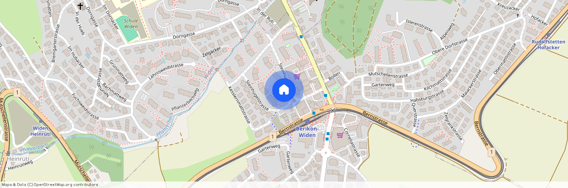 8965, Berikon, Steinhügelstrasse, 22