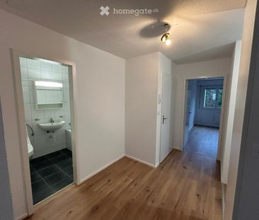 2.5 Zimmer, 67 m², 2. Stock - Photo 1