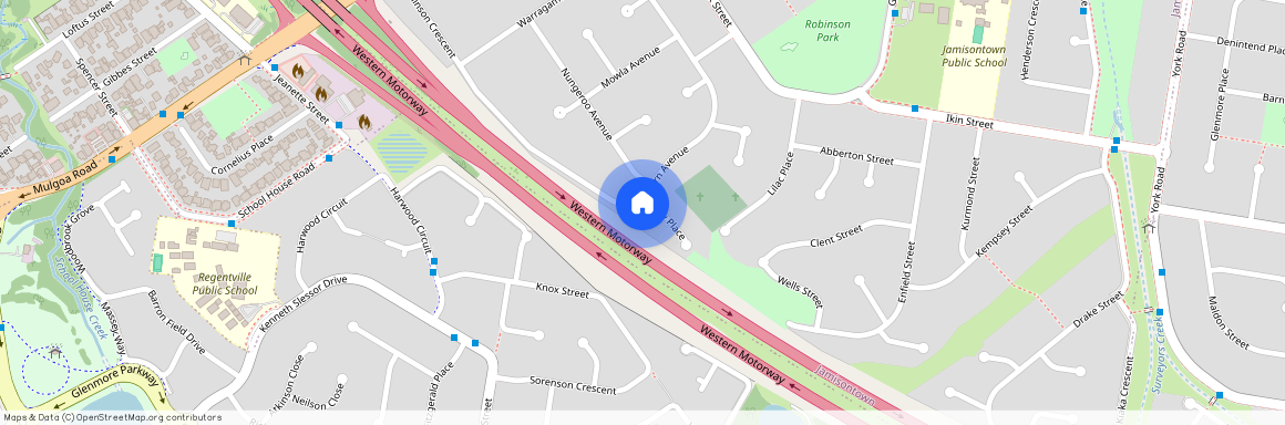 12 Ivory Place, Jamisontown, NSW 2750