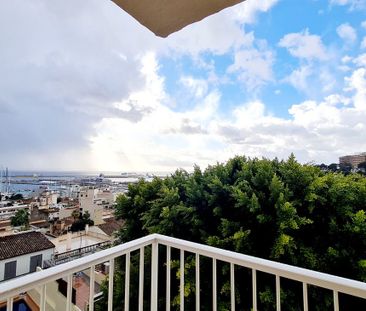 97 Carrer de la Drecera, Palma de Mallorca, Balearic Islands 07015 - Photo 4