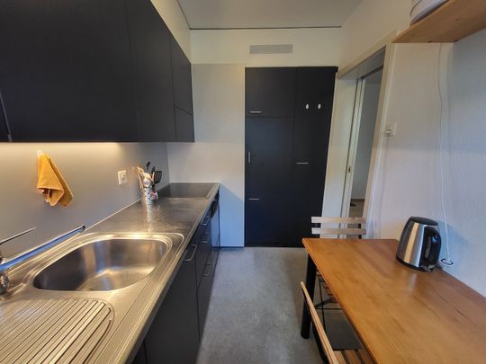 APPARTEMENT 21/2 PIÈCES À BERNE - FELSENAU, MEUBLÉ, TEMPORAIRE - Photo 1