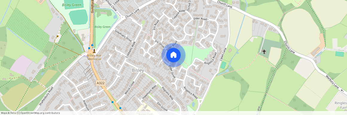 Germander Driver, Bisley, Woking, GU24 9HE