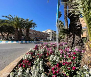 Piso de alquiler en Paseo Los Baños, 9, Roquetas Pueblo - Foto 6