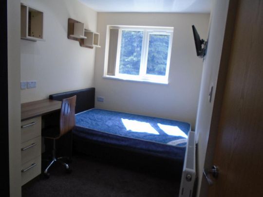 7 bedroom house share to rent - Photo 1