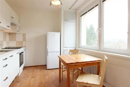 Pronájem bytu 1+1, ul. Filipova, Brno - Bystrc, lodžie, klidná lokalita - Fotografie 2