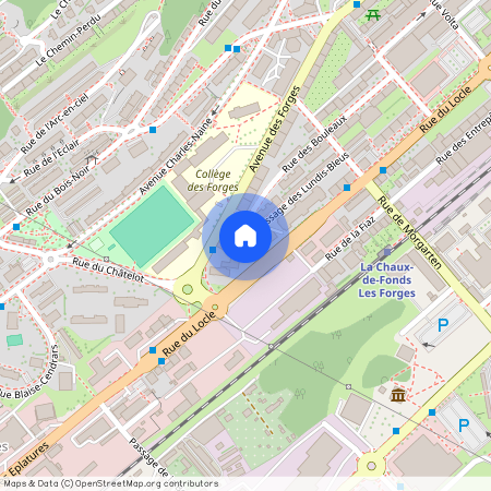 2300, La Chaux-de-Fonds, Rue du Locle 38, 34