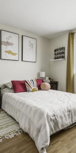 Appartement 4 ½ à louer Limoilou novembre 2025 - Photo 1