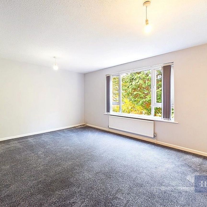 4 bedroom House To Let - Photo 1