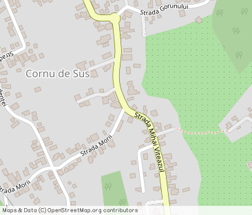 Cornu, vedere la padure, vila d+p+m, 6600mp teren, 4 parcare - Photo 1