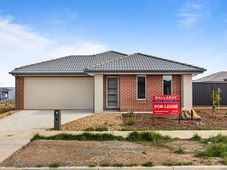 33 Clydesdale Drive, Bonshaw - Photo 2
