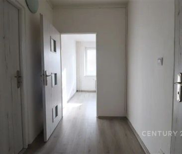 Pronájem bytu 1+1, Cholevova, OstravaHrabůvka - Photo 4