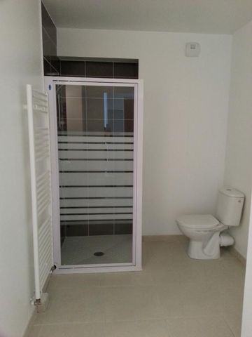 Location Appartement 1 pièce 35m² NANTES 44100 - Photo 5