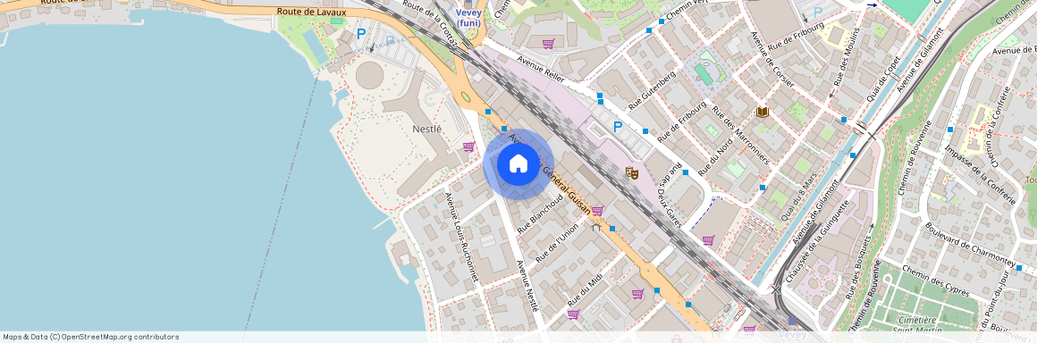 Avenue du Général-Guisan 61, 1800 - Vevey, Suisse