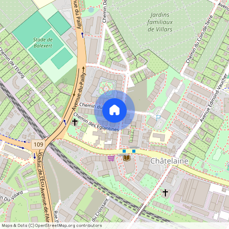 Chemin de Maisonneuve 9, 1219, Châtelaine