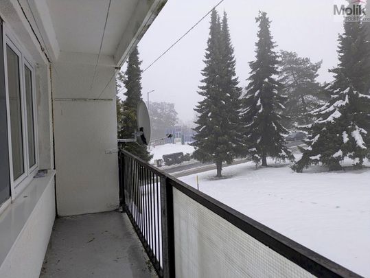 Pronájem bytu 1+kk 28 m² - Photo 1