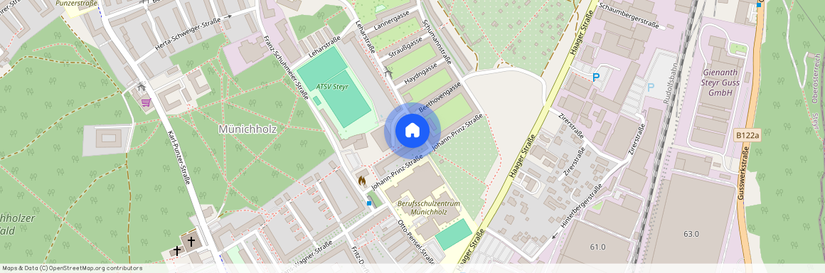 Karl-Zeller-Straße, 4400, Steyr