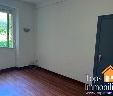 Location Appartement 2 pièces 44m² VILLEFRANCHE DE ROUERGUE 12200 - Photo 2