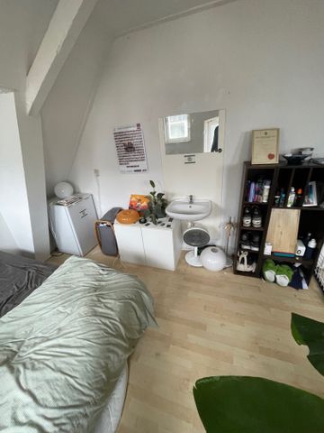 38, Boterdiep, Hortusbuurt, Centrum, Groningen, Nederland, 9712 LP, Nederland - Foto 5