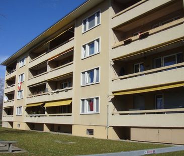 Gemütliche Wohnung in Uster - Foto 2