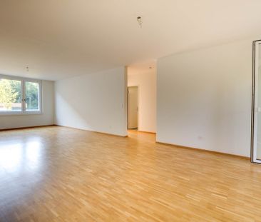 Grosszügige 4.5-Zimmerwohnung (112m2) an der Frenke - Foto 3