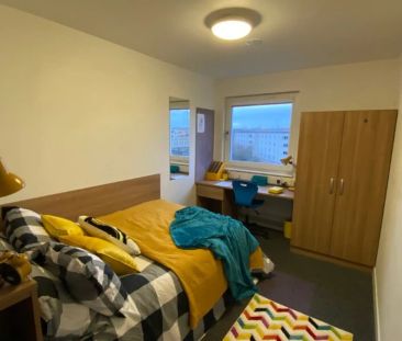 Single Ensuite Premium Rooms - Photo 2