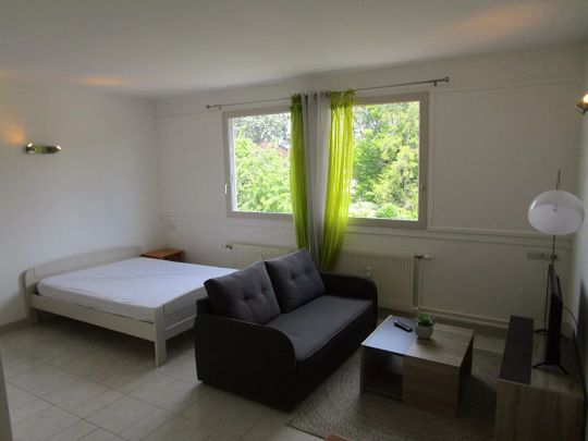 Grand studio avec prêt de meubles - Photo 1