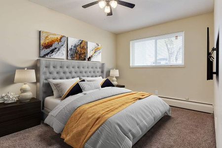 Renovated Suite - 2 Bedroom - Photo 4