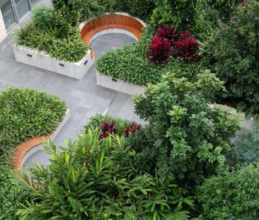 807 New Canterbury Road, Dulwich Hill NSW 2203 - Apartment For Rent... - Photo 2