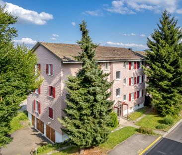 Wohnen im schönen Oberrieden - mit Seeblick! - Foto 1