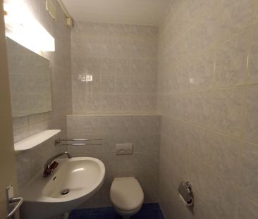 Beautiful 4.5 room recently renovated on the ground floor - Photo 5