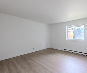 Appartement 4 ½ à louer Lévis novembre 2025 - Photo 2