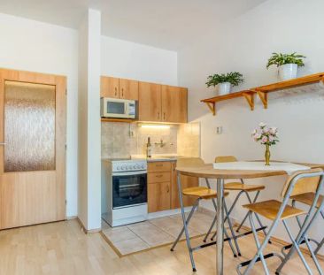 Podnájem bytu 1+kk, 30 m - Fotografie 4
