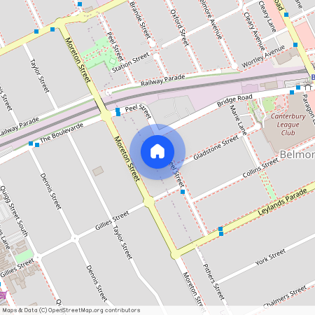 41 Peel Street, Belmore, NSW 2192