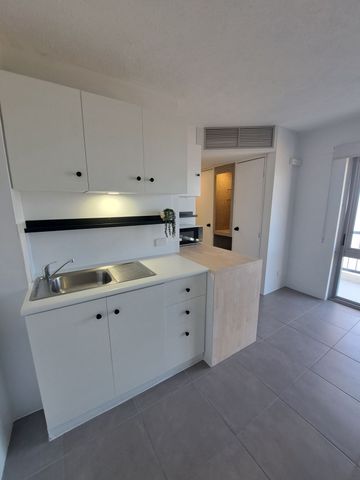 Modern studio apartment on the Southport Broadwater! - Photo 5